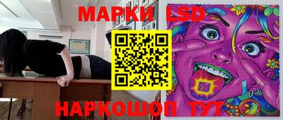 гидропоника Гатчина