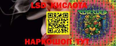 прущие крисы Гай