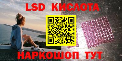 прущие крисы Гай
