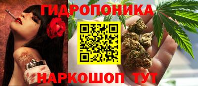 гидропоника Гатчина