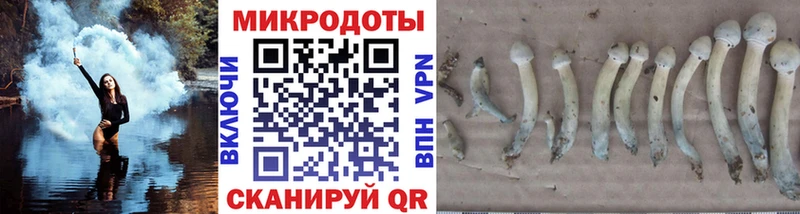 Псилоцибиновые грибы Magic Shrooms Камень-на-Оби