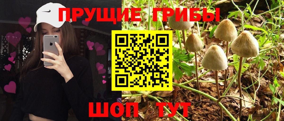 Галлюциногенные грибы ЛСД Камень-на-Оби