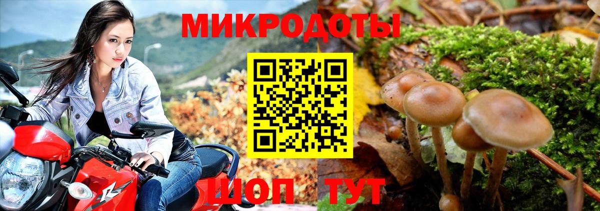 дарнет шоп  Вход с VPN  Камень-на-Оби  Галлюциногенные грибы MAGIC MUSHROOMS  Галлюциногенные грибы Magic Shrooms 